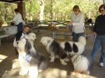 DSC03127.JPG
