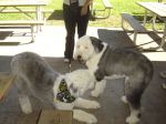 DSC03131.JPG