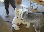 DSC03150.JPG
