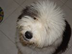 DSC00018.JPG