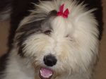 DSC00132.JPG