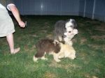 MaxandRuby.jpg