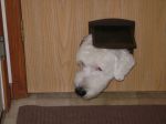 april 2009 006.jpg