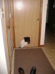 april 2009 007.jpg