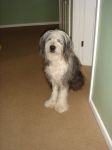DSC00750.JPG