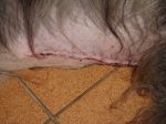 DSC00778.JPG