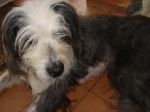 DSC00779.JPG