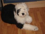 DSC01566.JPG