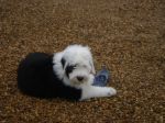 DSC01569.JPG