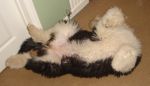 DSC01795.JPG