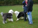 DSC01979.JPG