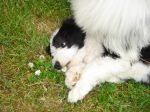 DSC02233.JPG