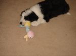 DSC02238.JPG