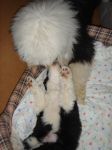 DSC02255.JPG