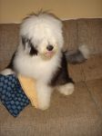 DSC02297.JPG