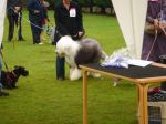 DSC02303.JPG