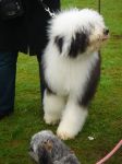 DSC02304.JPG