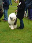 DSC02307.JPG
