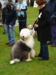 DSC02308.JPG