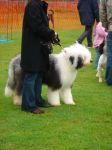 DSC02311.JPG
