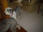 Picture 007~0.jpg
