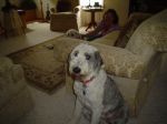Picture 008~0.jpg