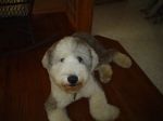 Picture 009~1.jpg
