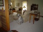 Picture 010~1.jpg