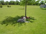 Picture 025.jpg