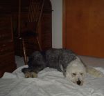 Picture 105.jpg