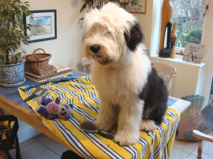 Click to view full size image