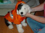 DSC01947.JPG