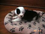 DSC03755.JPG