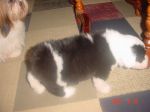 DSC03763.JPG