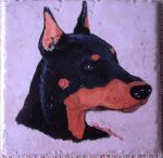 Doberman-model Faline (Medium).jpg