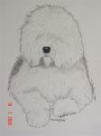 Duncan-pencil (Medium).jpg