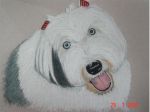 anniedrawing.jpg_edited-1 (Medium).jpg