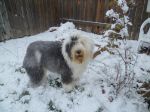 snow 2011 033.jpg