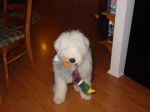 winston with duck.jpg