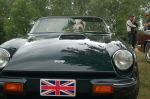 Roxie au volant.JPG
