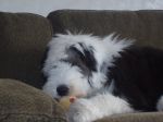 Picture 035.jpg