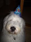 archie hat.JPG