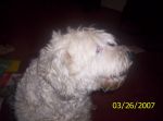 Picture 001.jpg