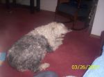 Picture 002.jpg
