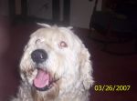 Picture 003.jpg