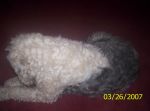 Picture 004.jpg