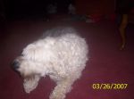 Picture 005.jpg