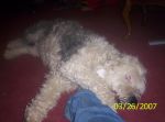 Picture 006.jpg