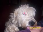 Picture 008.jpg