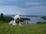 CapeBreton2008.jpg